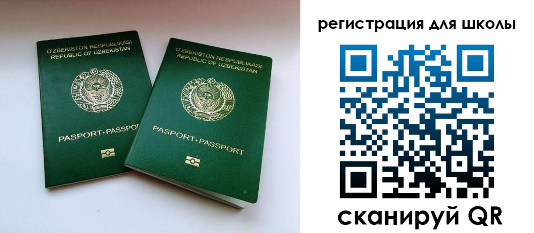 прописка для школы в Набережных Челнах